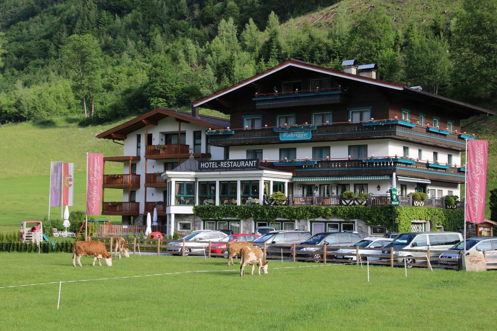 Landhaus Rohregger Neukirchen am Großvenediger Exterior foto